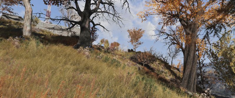 File:Fallout76 - Greenery just North of the road 95A.jpg